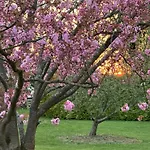 Au Milieu Des Haras Panzió Saint-Pierre-Azif