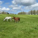 Au Milieu Des Haras Panzió