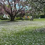 Au Milieu Des Haras 3*