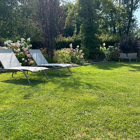 Au Milieu Des Haras