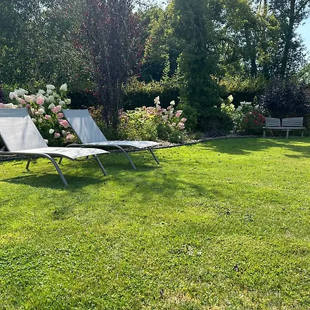 Au Milieu Des Haras