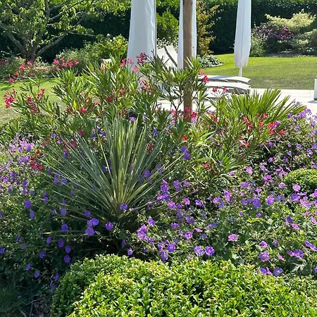 B&B Au Milieu Des Haras Saint-Pierre-Azif