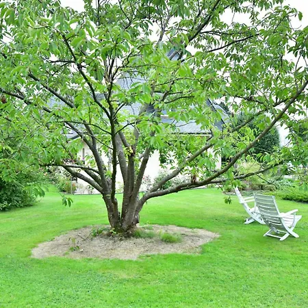 Au Milieu Des Haras 3* Saint-Pierre-Azif