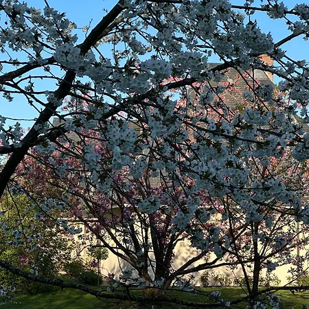 Au Milieu Des Haras Bed and breakfast Saint-Pierre-Azif