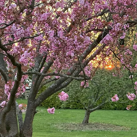Au Milieu Des Haras B&B Saint-Pierre-Azif