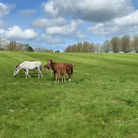 Au Milieu Des Haras Bed & Breakfast