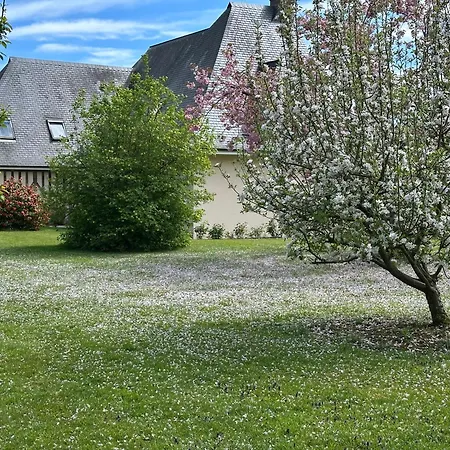 Au Milieu Des Haras Saint-Pierre-Azif