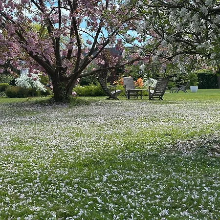 Au Milieu Des Haras 3*