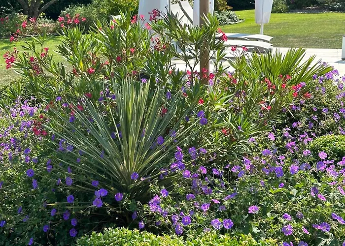 לינה וארוחת בוקר Au Milieu Des Haras Saint-Pierre-Azif