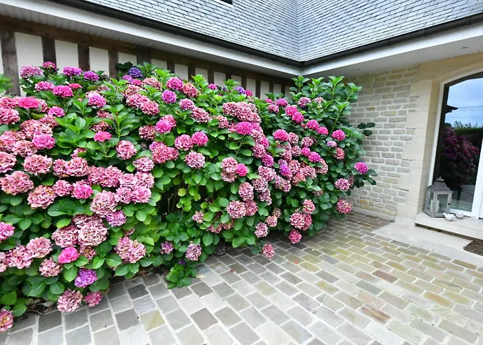 Au Milieu Des Haras Saint-Pierre-Azif