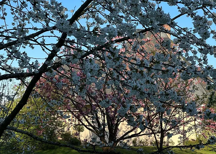 Au Milieu Des Haras לינה וארוחת בוקר Saint-Pierre-Azif