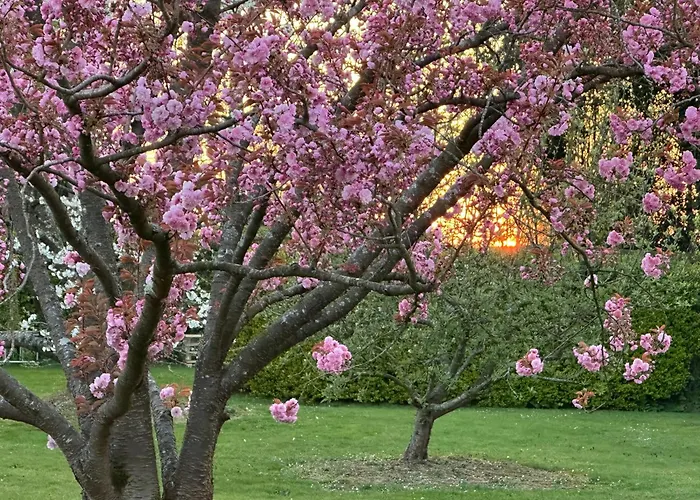 Au Milieu Des Haras לינה וארוחת בוקר Saint-Pierre-Azif