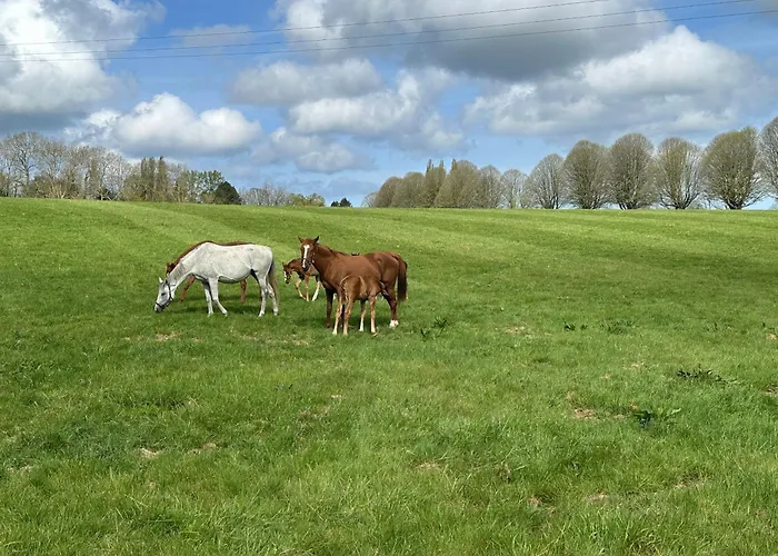Au Milieu Des Haras לינה וארוחת בוקר