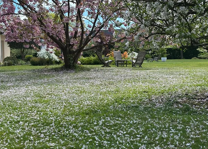 Au Milieu Des Haras 3*